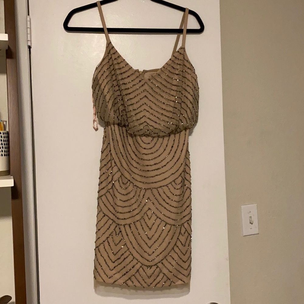 Adrianna Papell Dress
